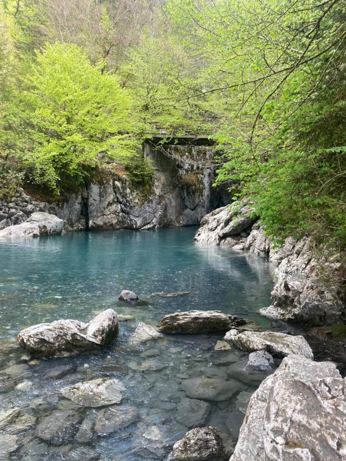Appartement Rez-De-Chaussee, Cosy T3 4 A 6 Pers Avec Piscines Interieure & Exterieure A Samoens En Haute-Savoie Eksteriør bilde