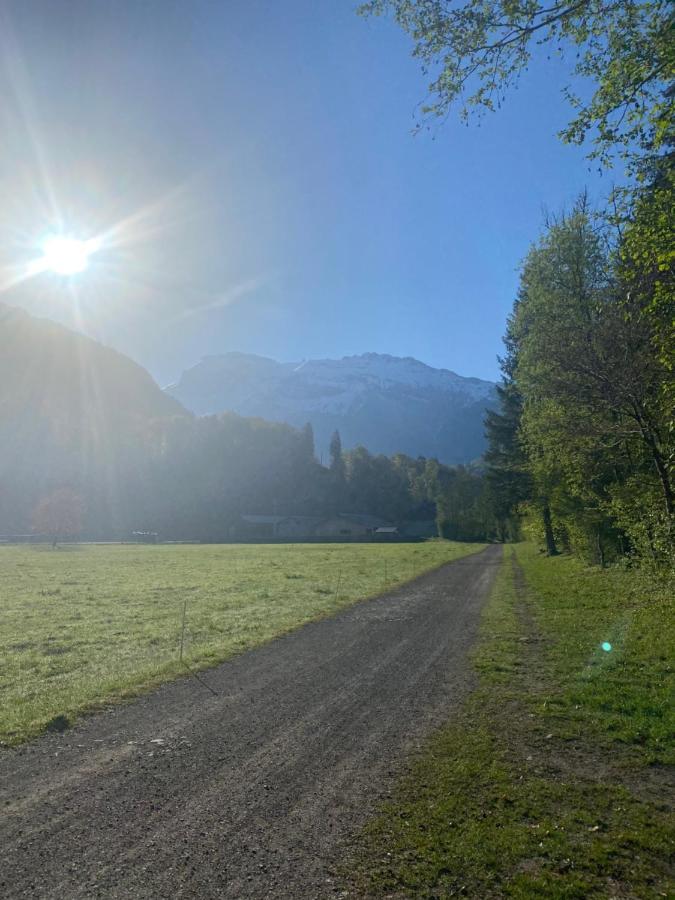 Appartement Rez-De-Chaussee, Cosy T3 4 A 6 Pers Avec Piscines Interieure & Exterieure A Samoens En Haute-Savoie Eksteriør bilde